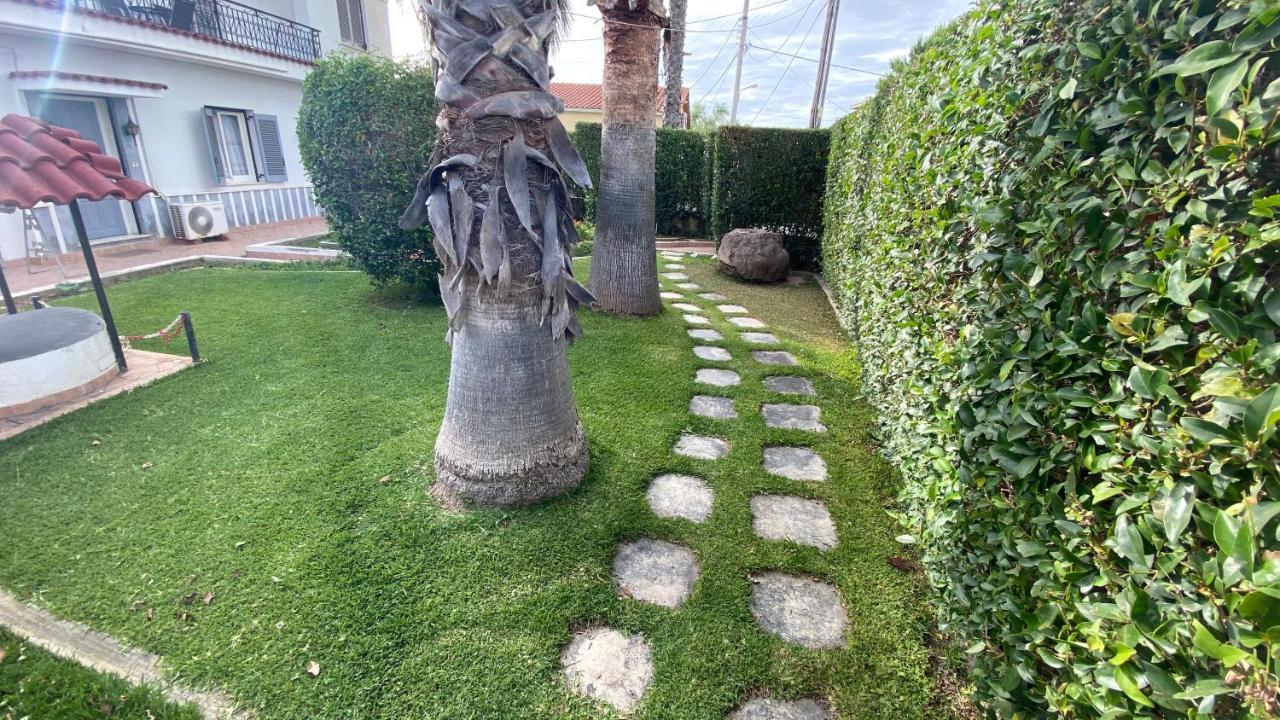 Patras Palm Tree Lägenhet Exteriör bild