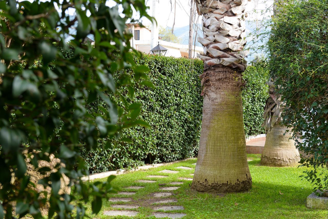 Patras Palm Tree Lägenhet Exteriör bild